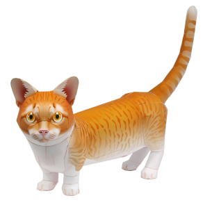 <Бумажный кот