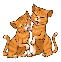Близнецы в Год кота.